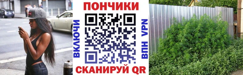 закладки  Шлиссельбург  darknet телеграм  Бошки марихуана марихуана 